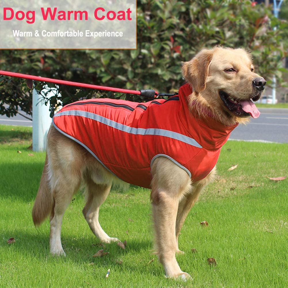 PawRoll™ Reflective Warm Jacket For Winter