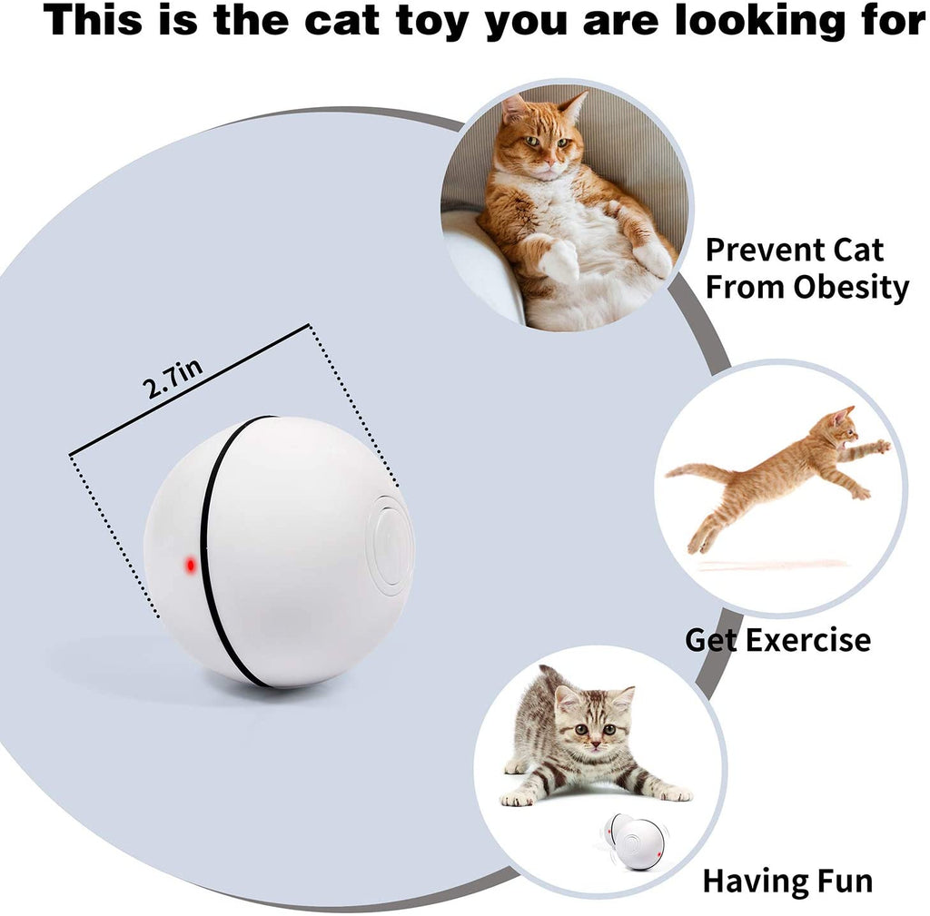 PawRoll™ Interactive Cat Toy