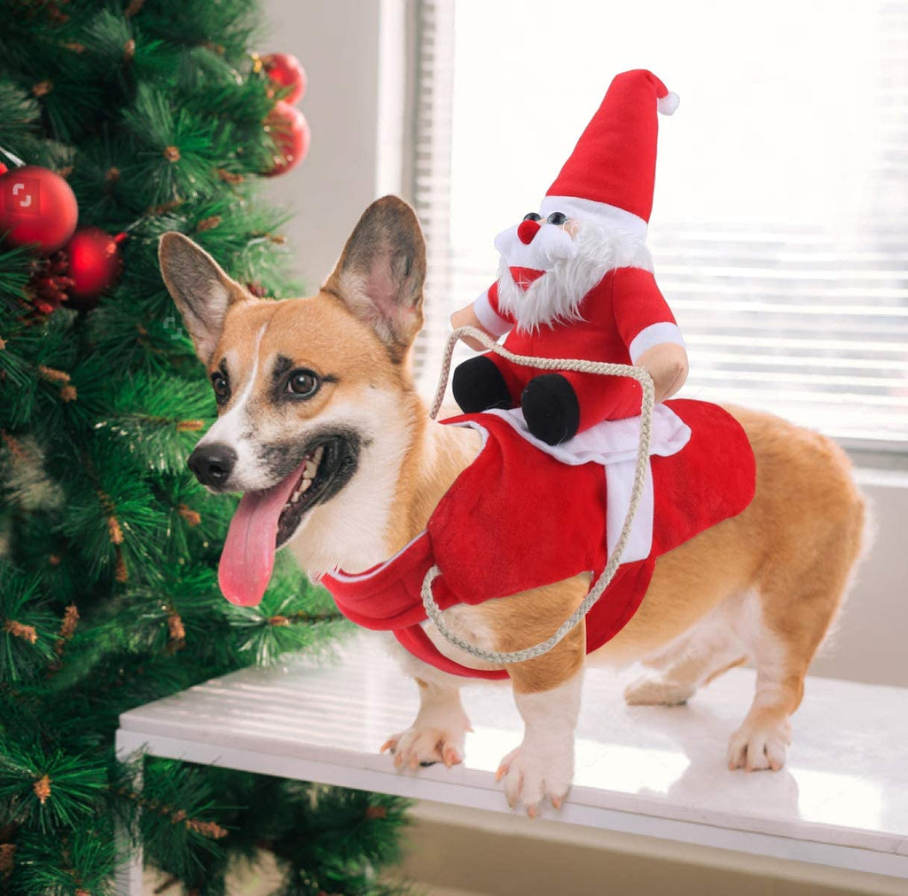 Santa Claus Riding Christmas Dog Costume