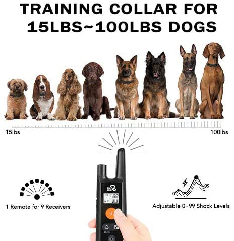 PawRoll™ Training Bark Shock Collar