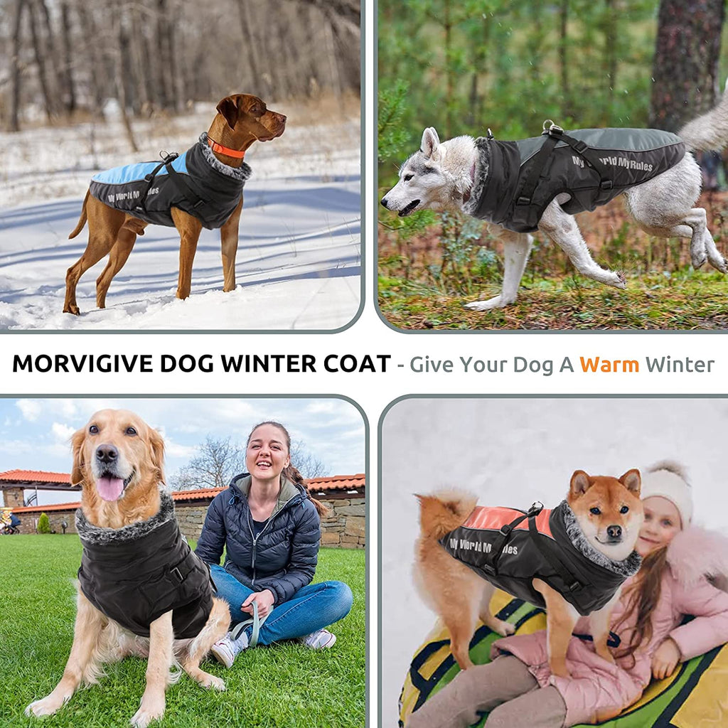PawRoll™ All-Purpose Reflective Winter Coat