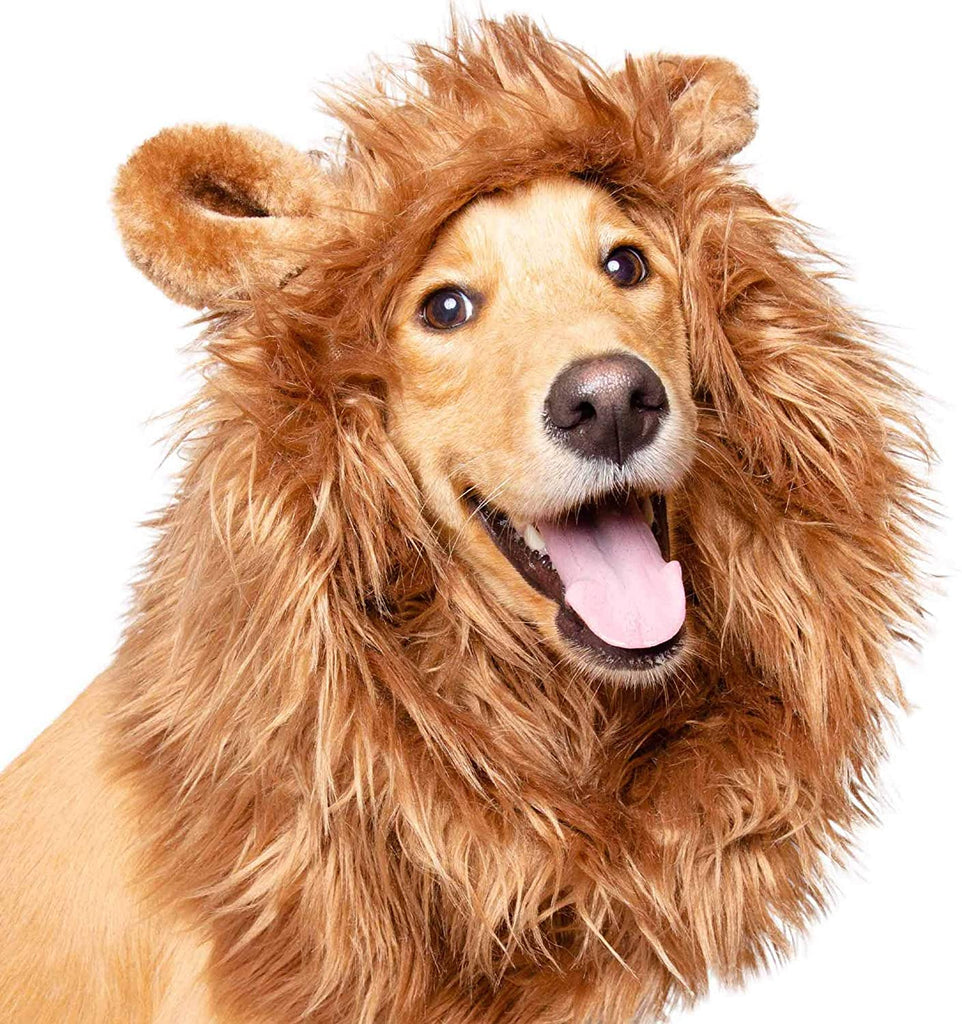 Lion King Halloween Dog Costume