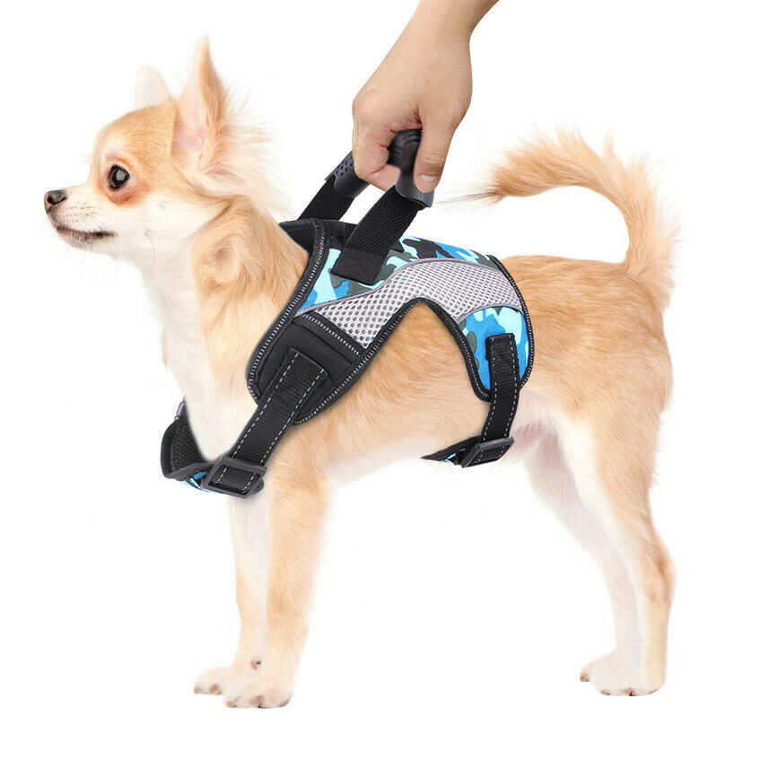 PawRoll™ Harness With Handle