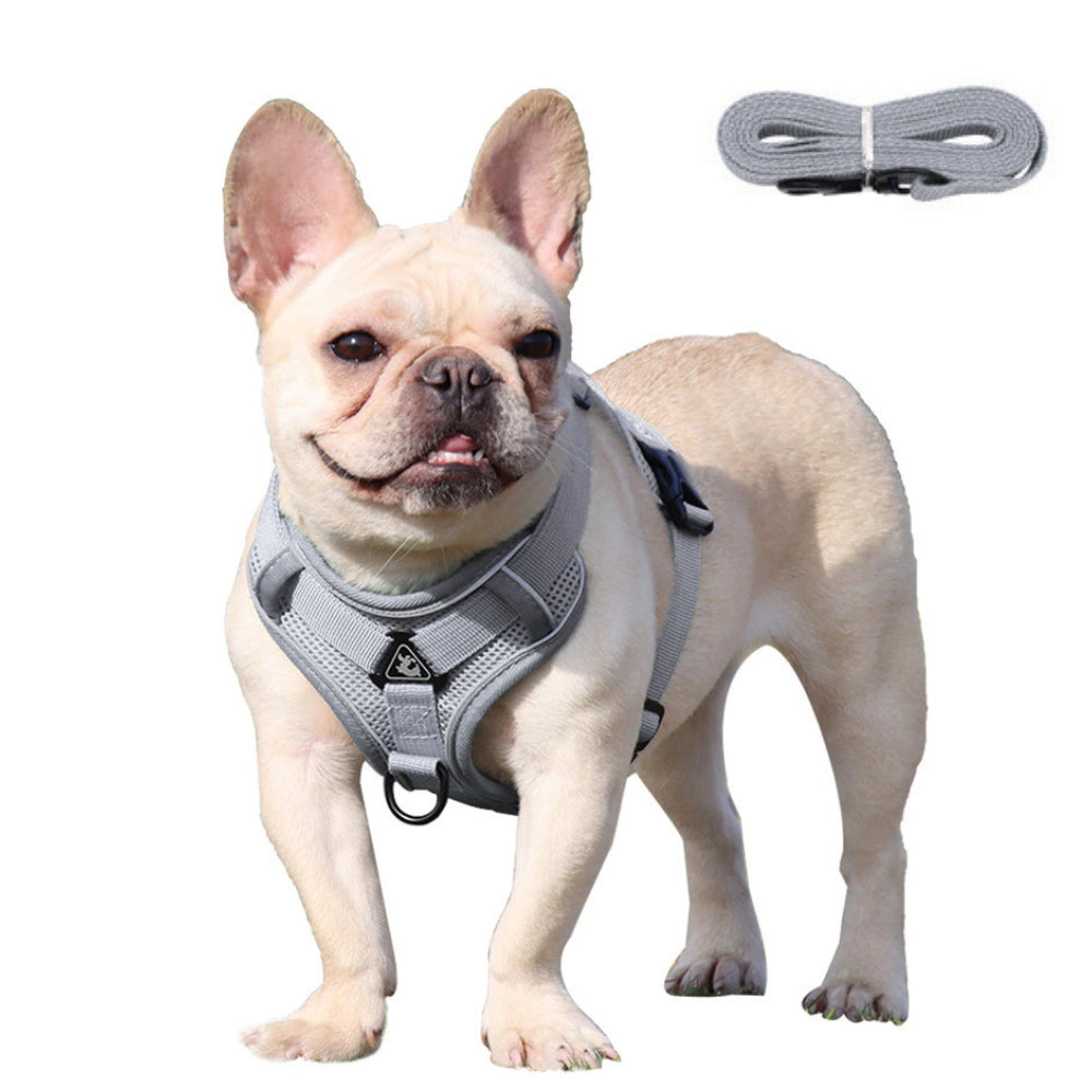 PawRoll™ No Pull Dog Harness With Free Leash