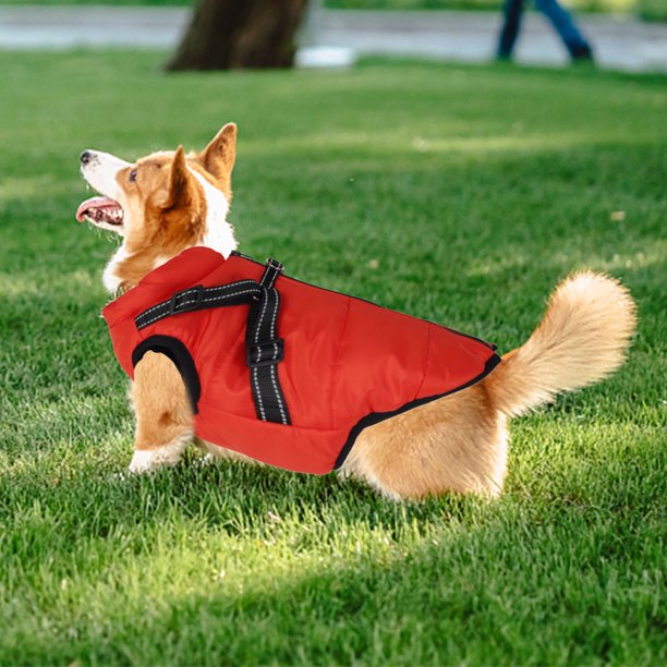 New PawRoll™ Dog Winter Waterproof Jacket
