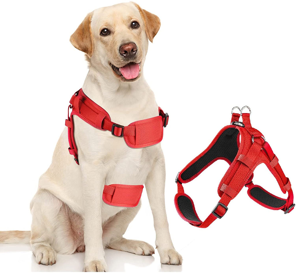 PawRoll™ Dog No Pull Harness For Summer