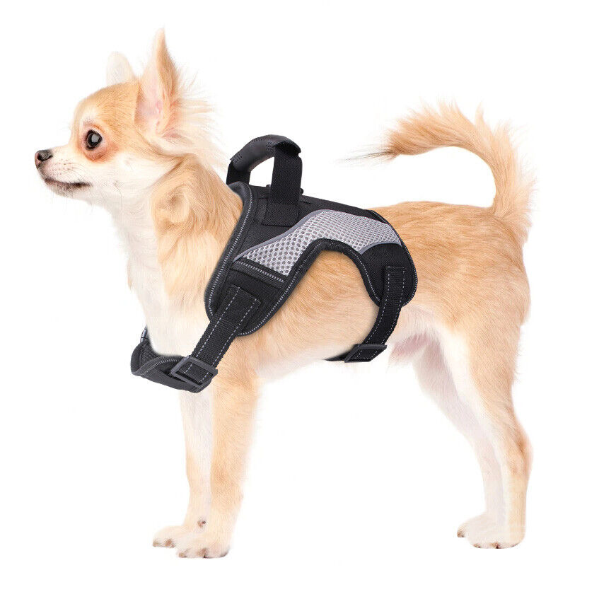 PawRoll™ Harness With Handle