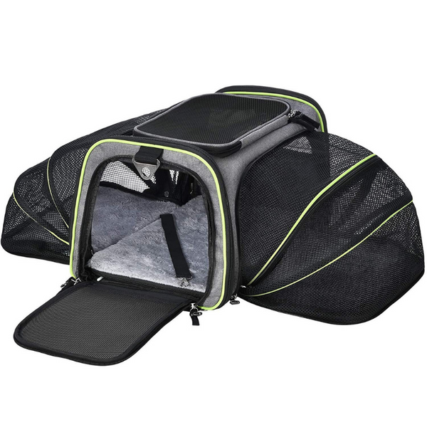 Dadypet hotsell pet carrier