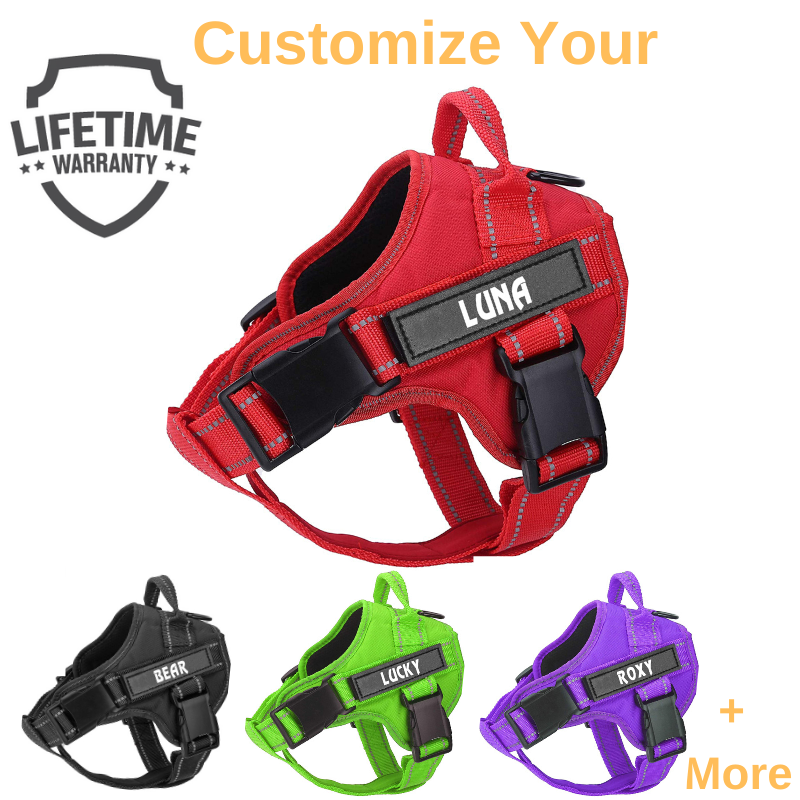 New Personalized PawRoll™ No Pull Dog Harness (2023)