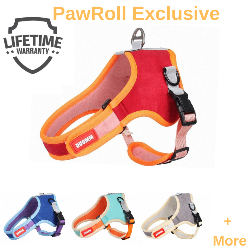 PawRoll™ Dog Reflective Cute Harness (2022)