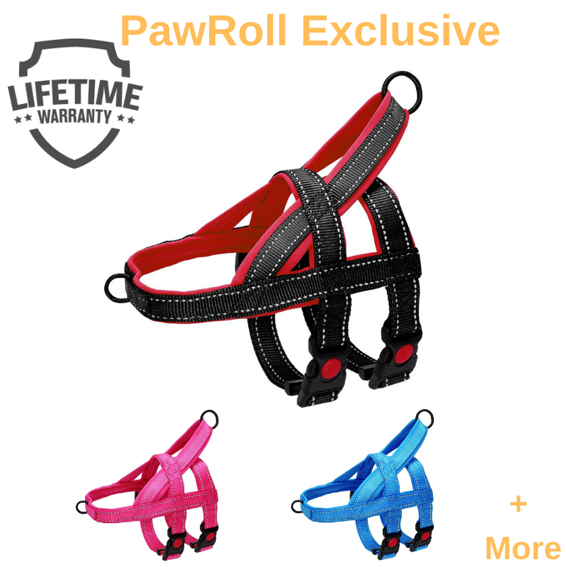 New PawRoll™ No Pull Harness (2022)