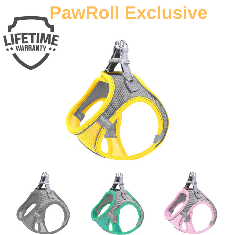 PawRoll™ No Pull Pet Summer Harness With Free Leash