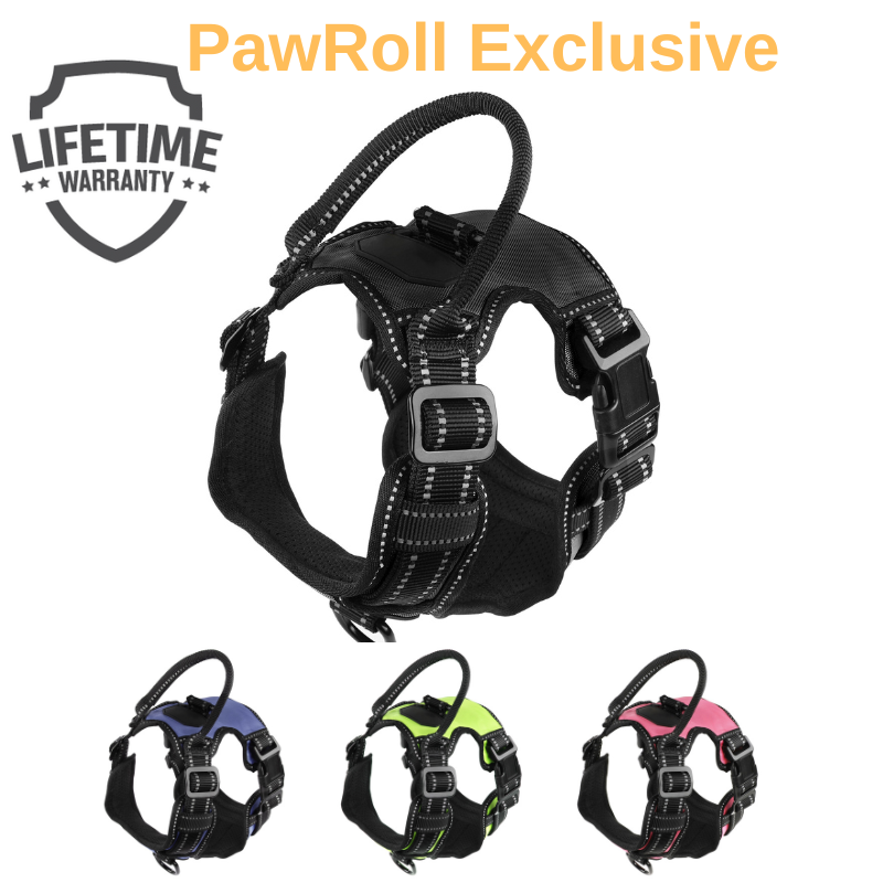 PawRoll™ Pet Harness With Strong Handle (2023)