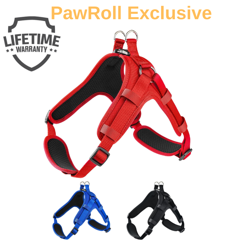 PawRoll™ Dog No Pull Harness For Summer