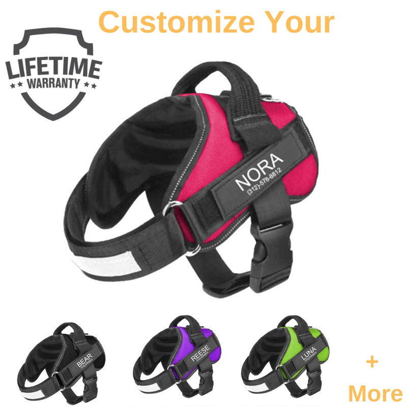 Dog harness personalised hot sale