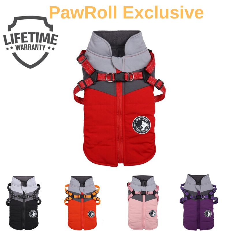 PawRoll Fashion Dog Winter Jacket