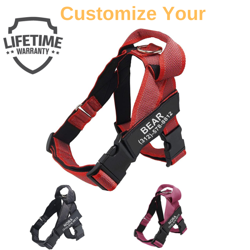 Personalized PawRock™ No Pull Dog Harness (2023)