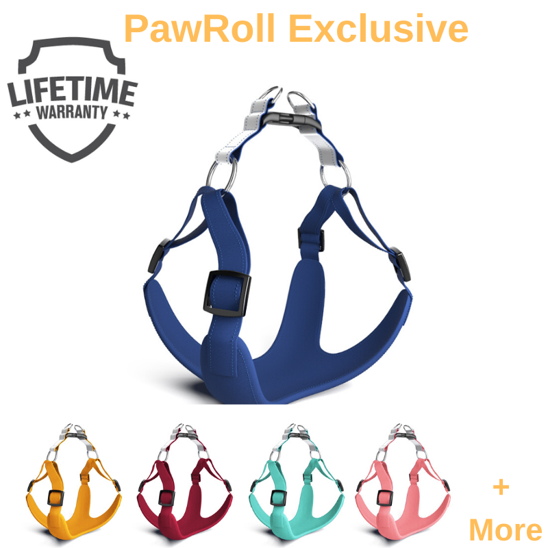 PawJoy™ No Pull Dog Harness (2023)