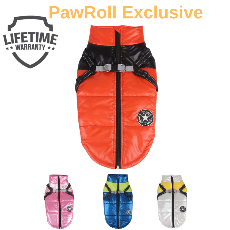 PawRoll Dog Winter Jacket With Harness