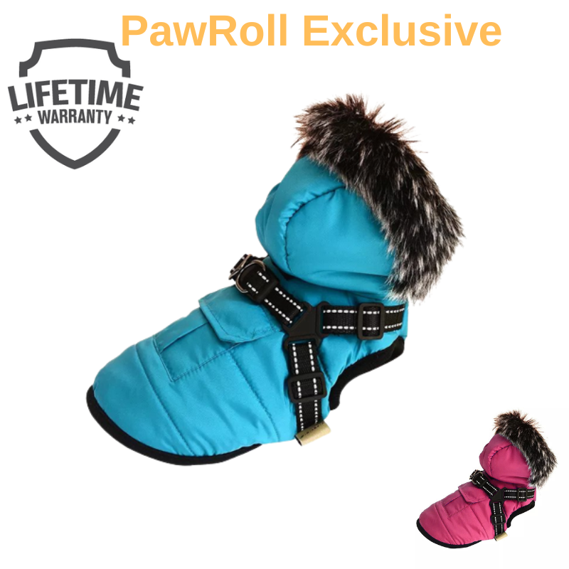 PawRoll Luxury Dog Winter Coat