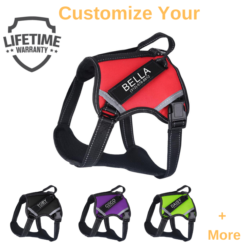 Personalized PawSun™ No Pull Dog Harness (2023)