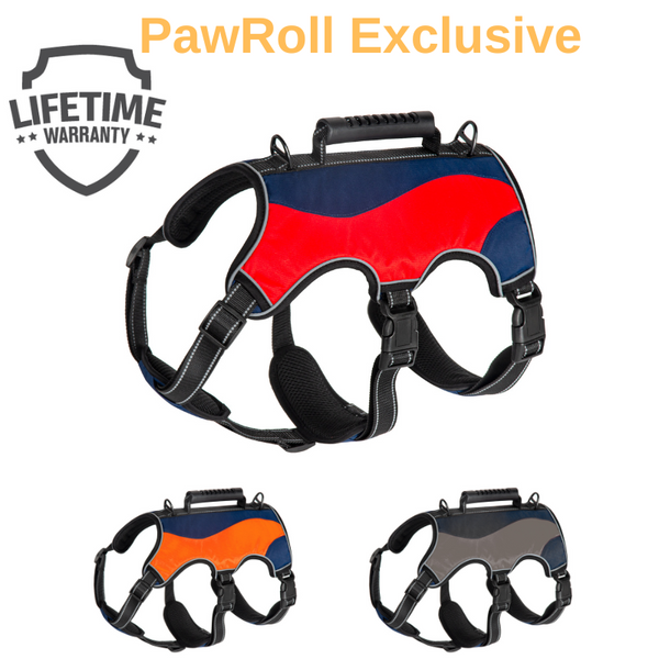 Dog top harness aldi