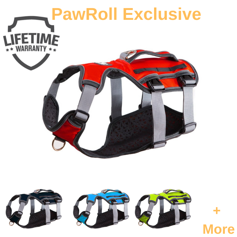 Personalized PawRoll™ No Pull Dog Harness Pro 2 (2023) – Paw Roll