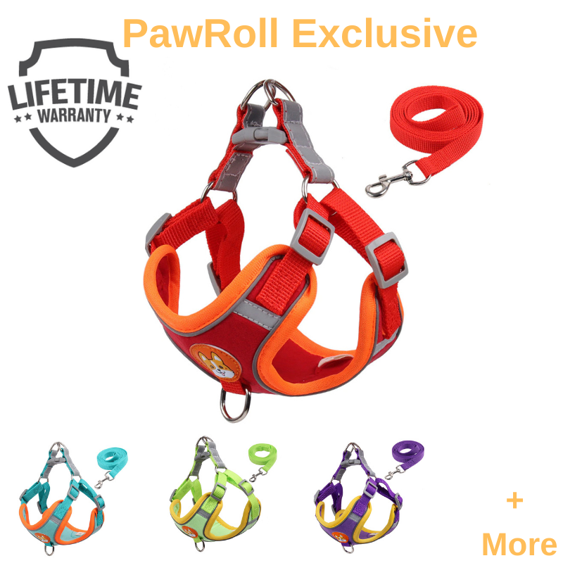 PawRoll™ Cute Puppy No Pull Harness (2023)