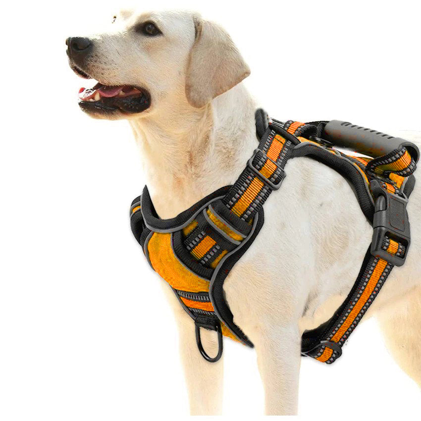 PawRoll™ No Pull Dog Harness With Strong Handle (2023)