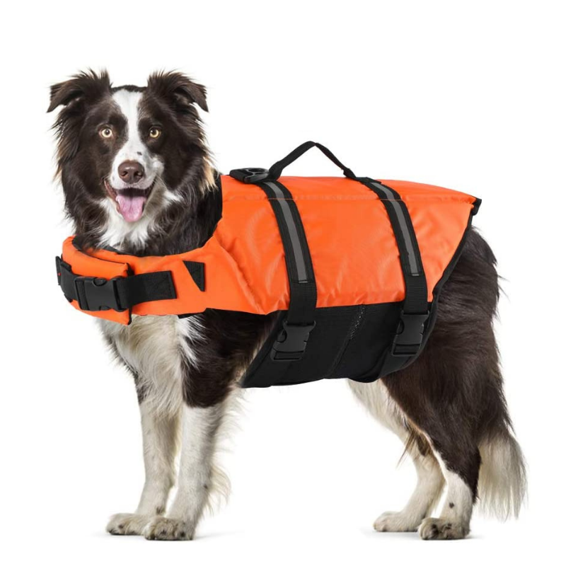 PawRoll Dog Life Jacket