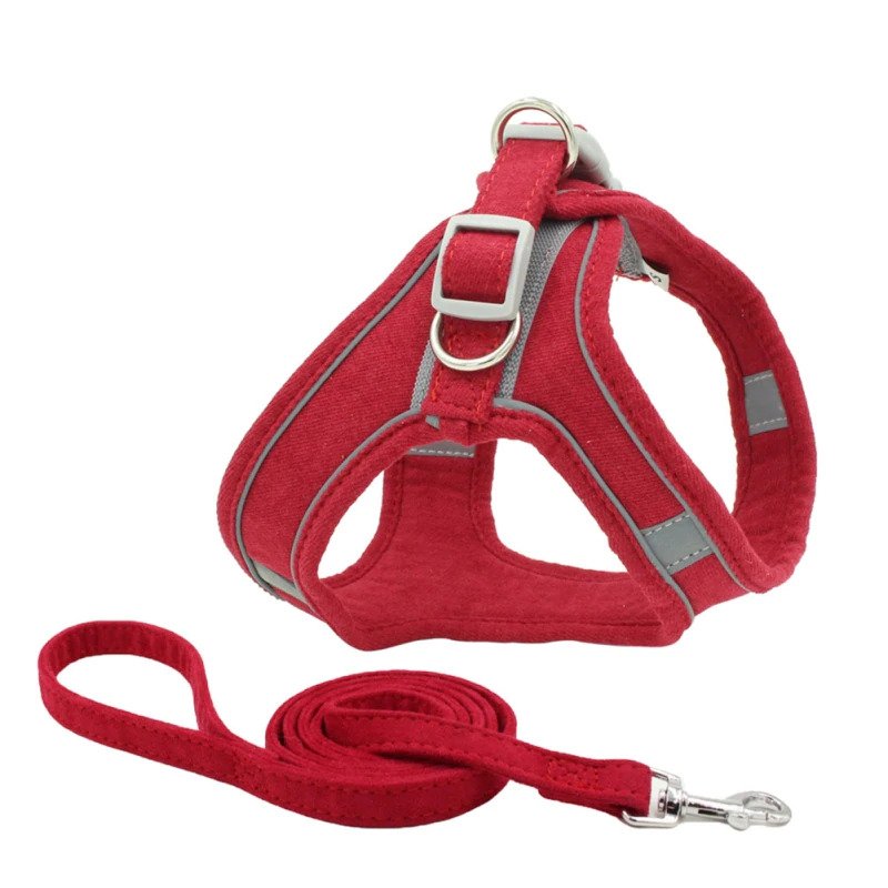PawRoll™ Summer Harness With Free Leash