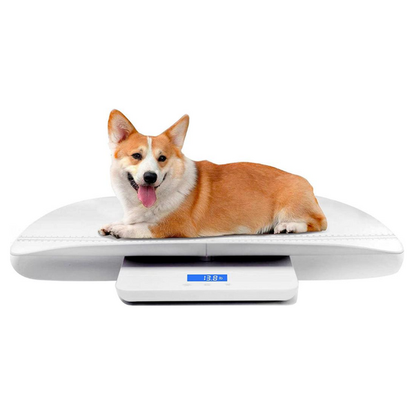 PawRoll Digital Pet Scale – Paw Roll