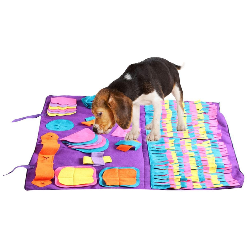 Guide to Snuffle Mats For Dogs & Puppies: Benefits, How to Use