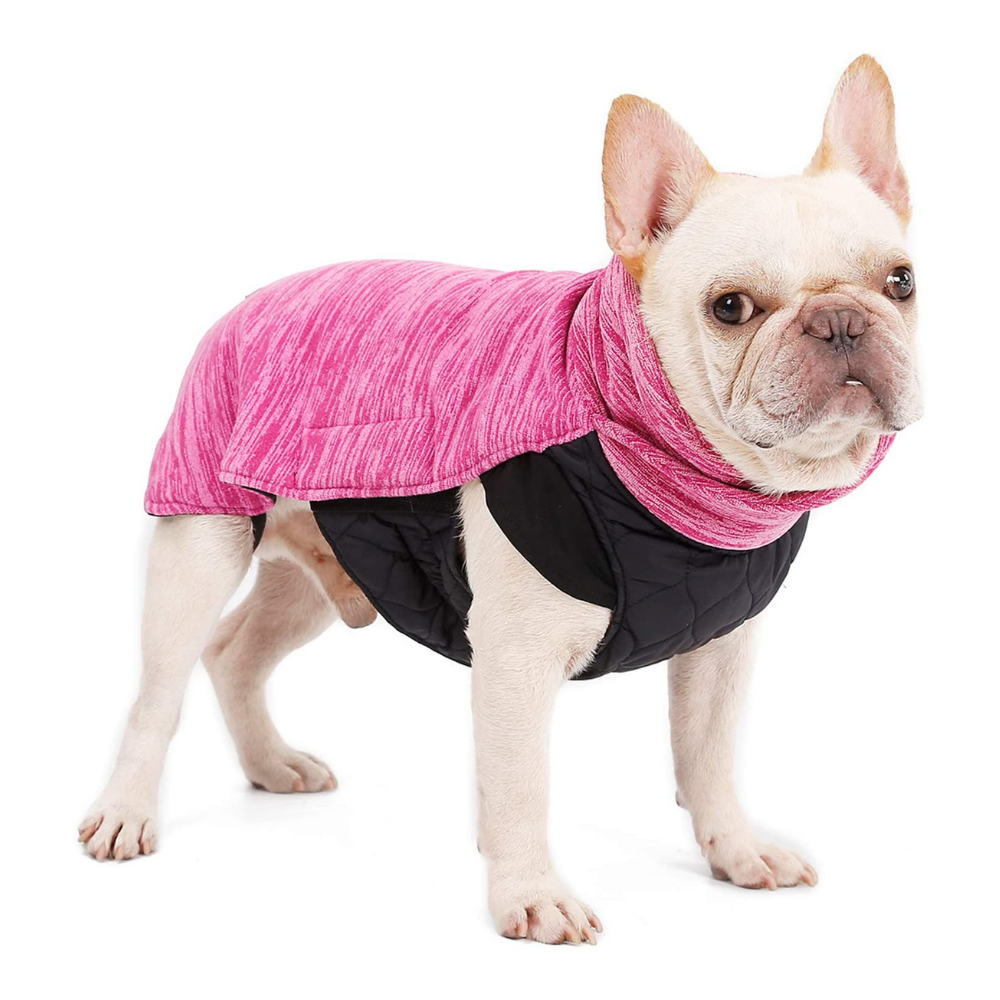 PawRoll Dog Winter Sweater Fleece Coat