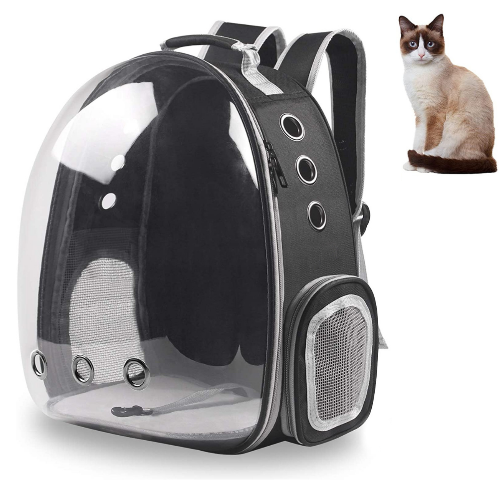 Cat top bubble backpack