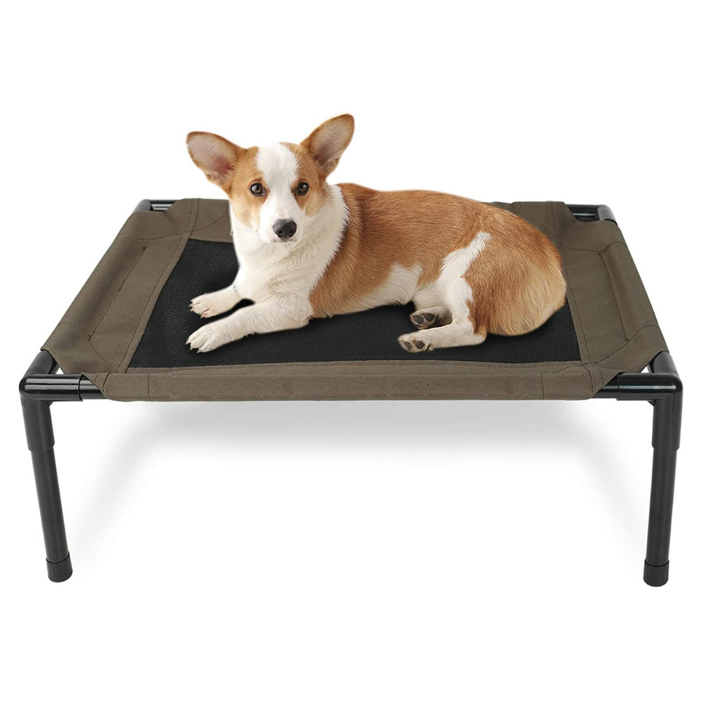 PawRoll Elevated Pet Bed (2022)