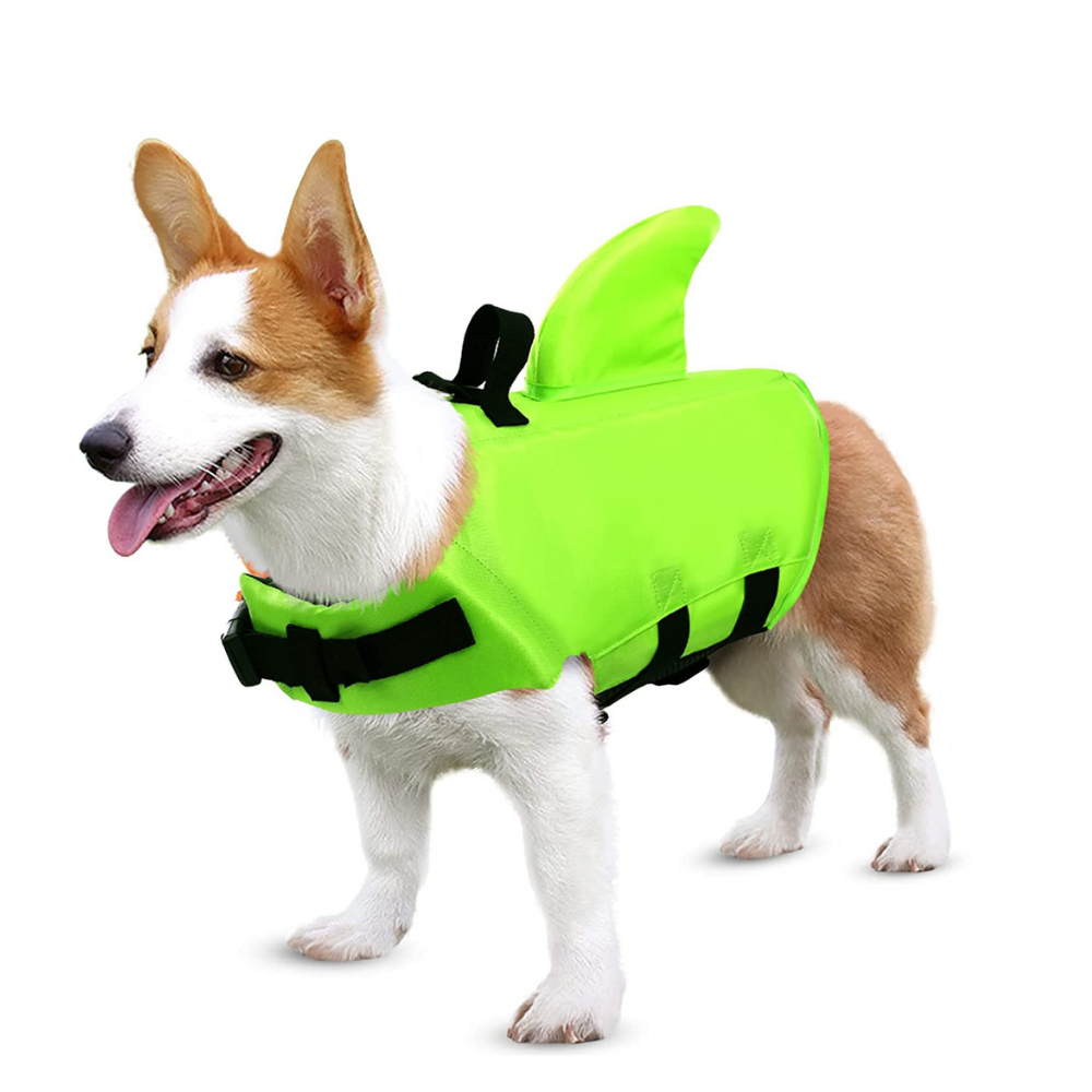 PawRoll Dog Life Jacket (2023)