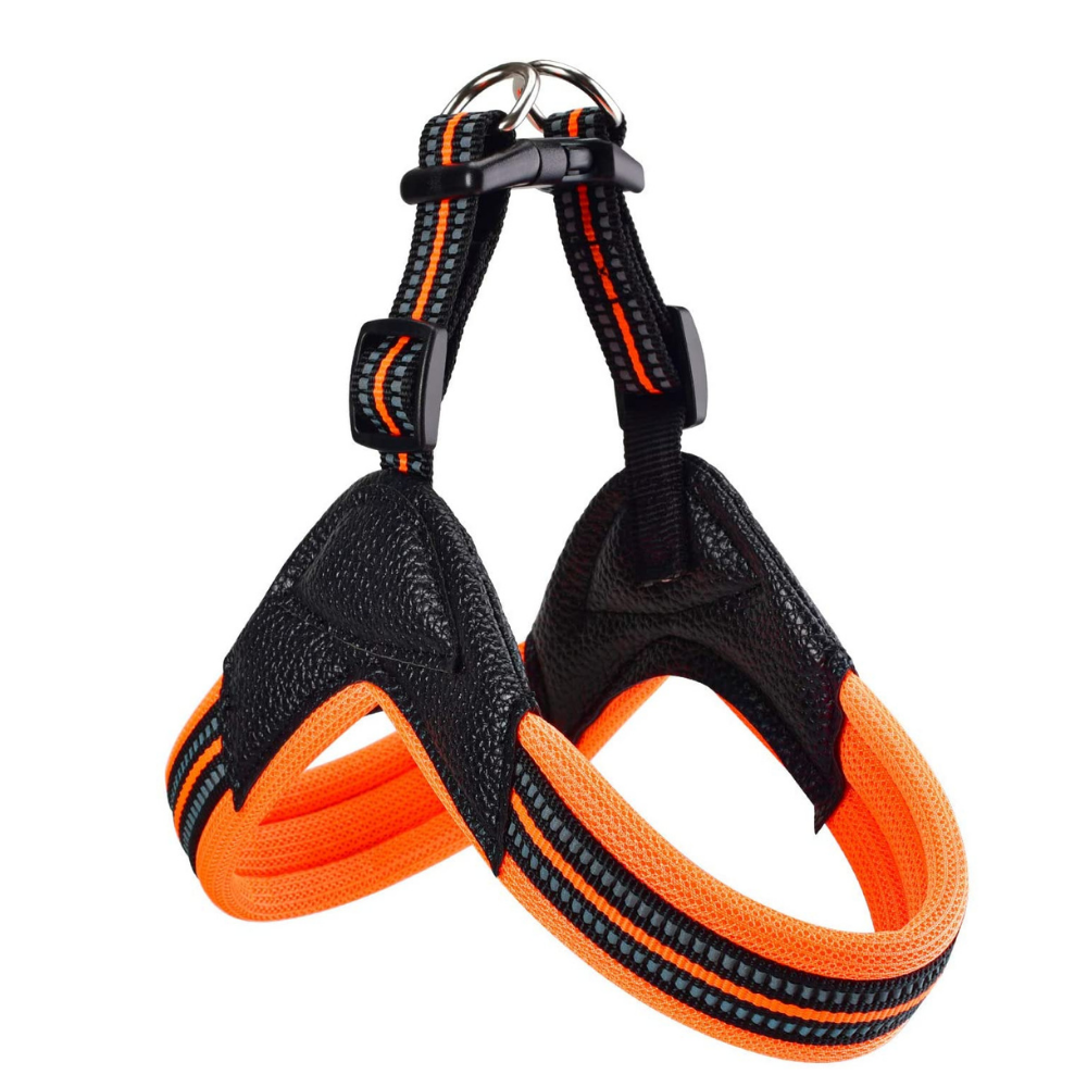 Avalanche reflective dog harness how to put on outlet