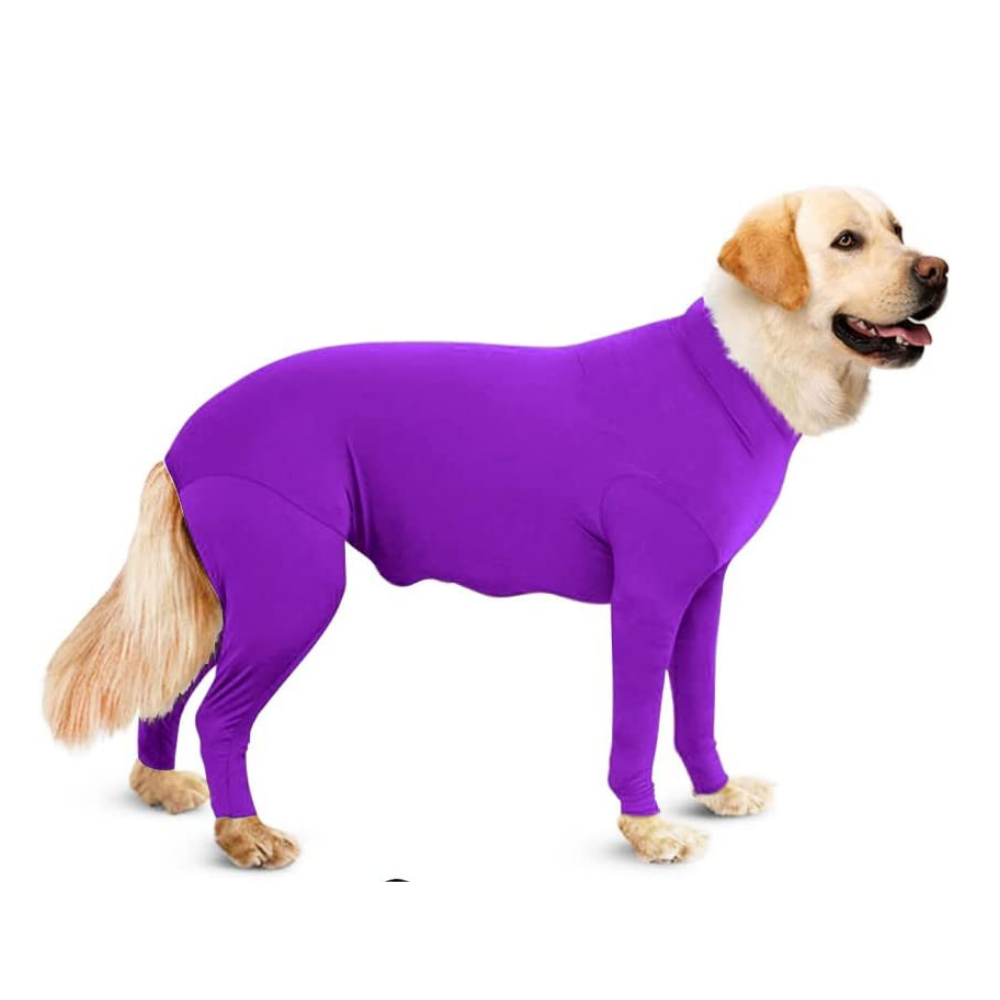 PawRoll™ Recovery Dog Suit