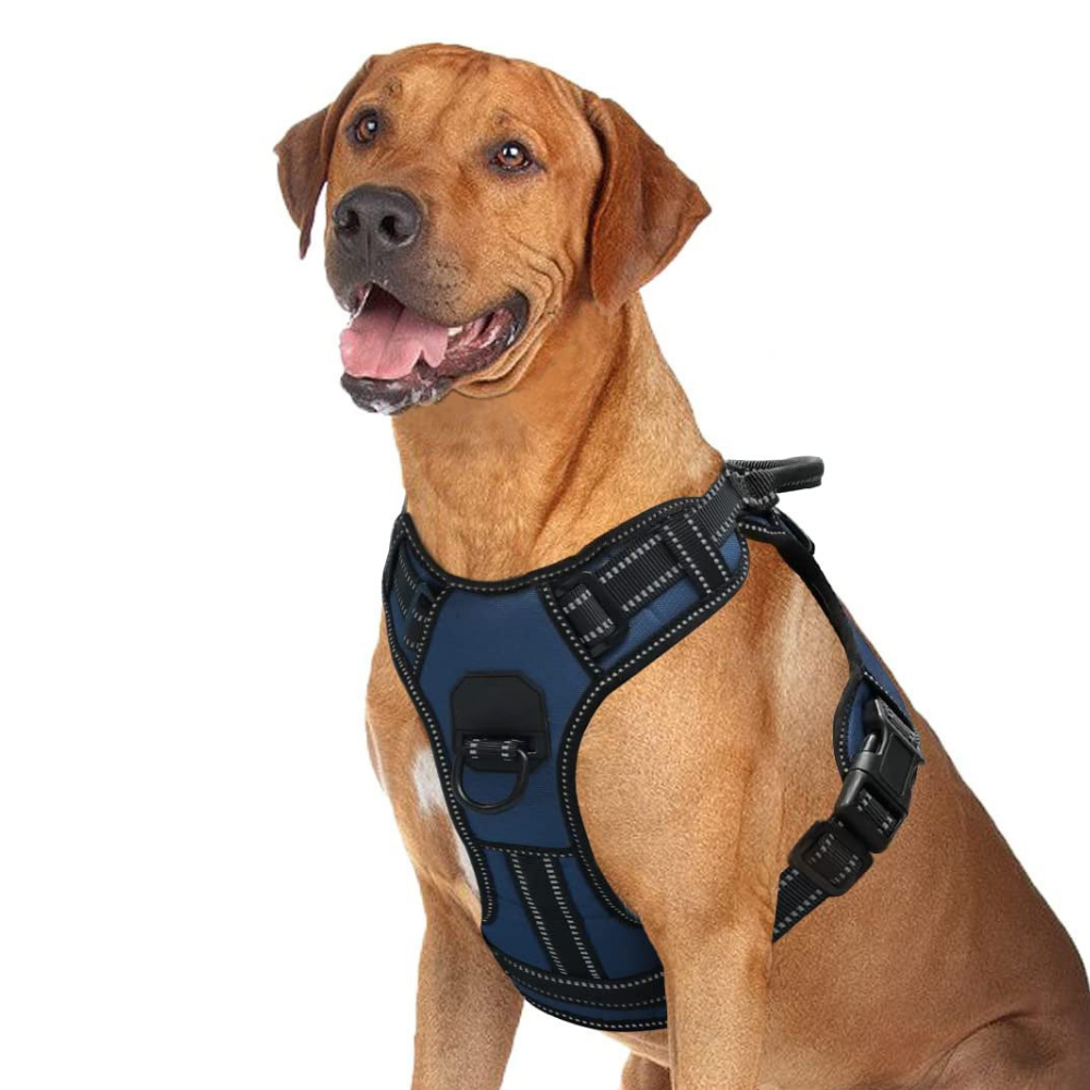 PawRoll™ Dog Harness With Strong Handle (2023)