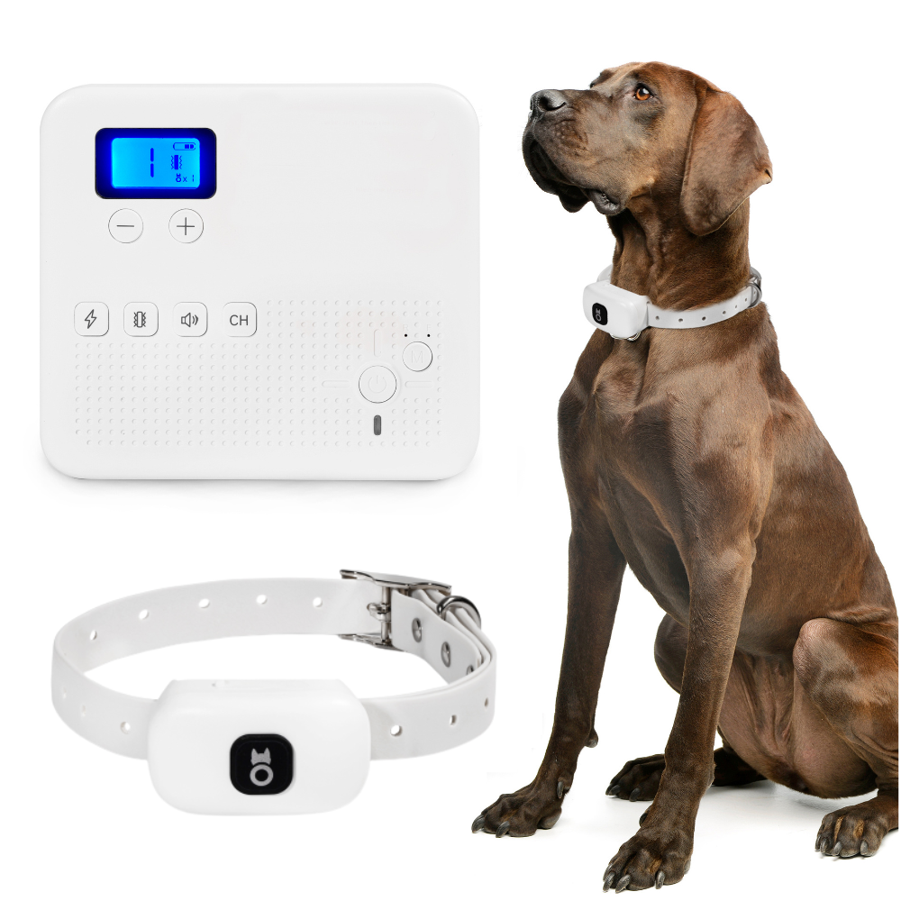 2-In-1 PawRoll Wireless Dog Fence – Paw Roll