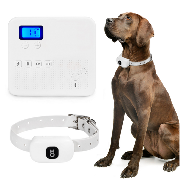 2 dog shop wireless dog fence