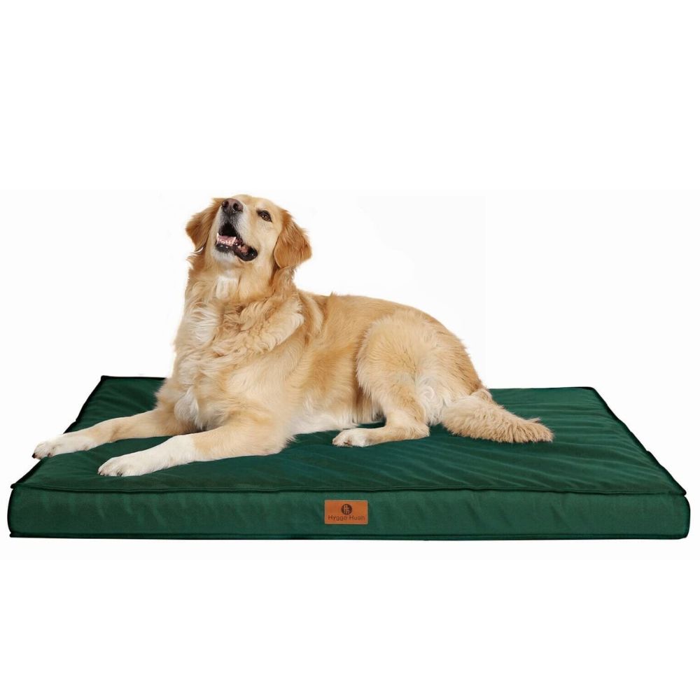 PawRoll™ Orthopedic Dog Bed