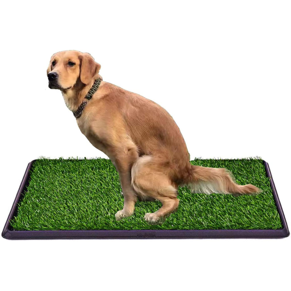 Dog grass pad indoor deals