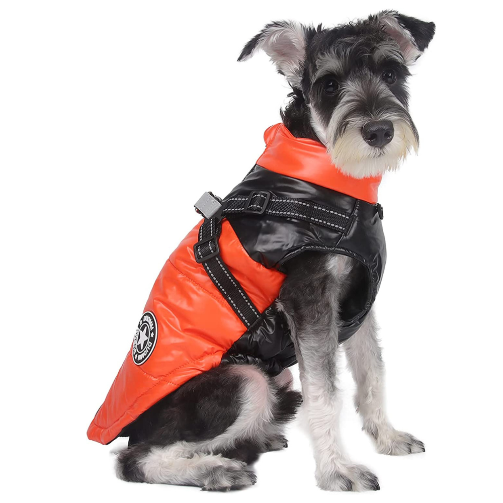 PawRoll Dog Winter Jacket With Harness