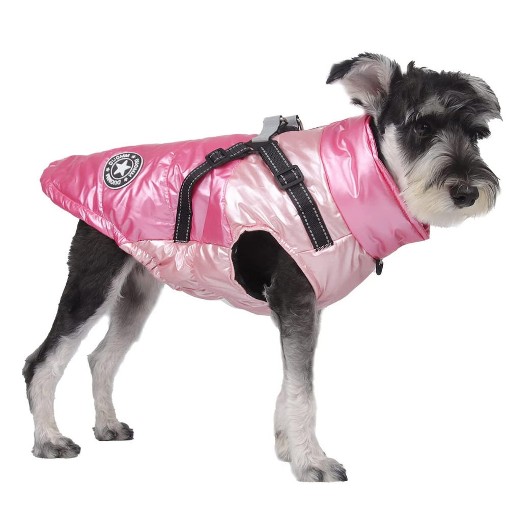 PawRoll Dog Winter Jacket With Harness