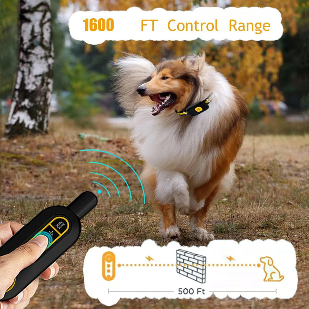 PawRoll™ Dog Training Collar (2023)