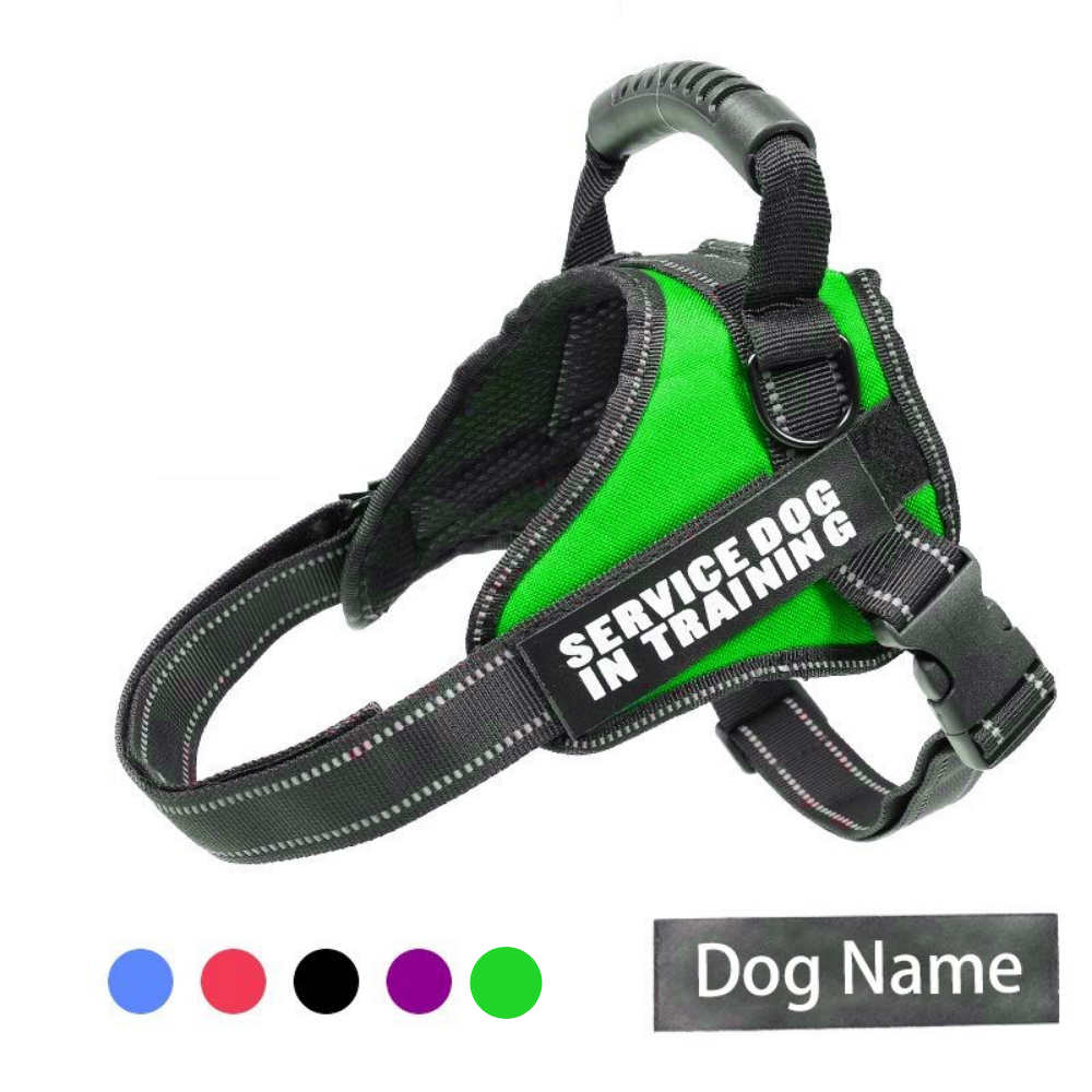 Personalized PawRoll™ No Pull Dog Harness Pro 2 (2023)