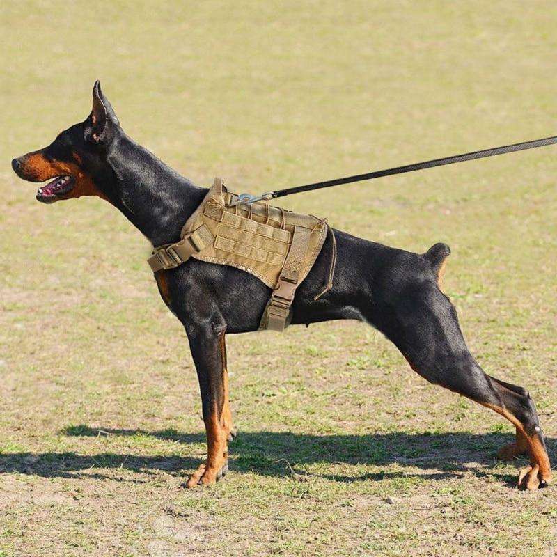 All Purpose™ Tactical Service Dog Vest-Paw Roll