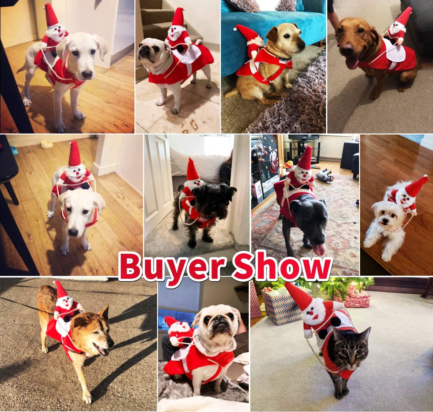 Santa Claus Riding Christmas Dog Costume Paw Roll Santa Claus Riding Christmas Dog Costume Paw Roll